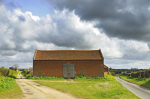 红砖,谷仓,旁侧,乡野,巷道,猫头鹰,诺福克,英格兰,英国,欧洲