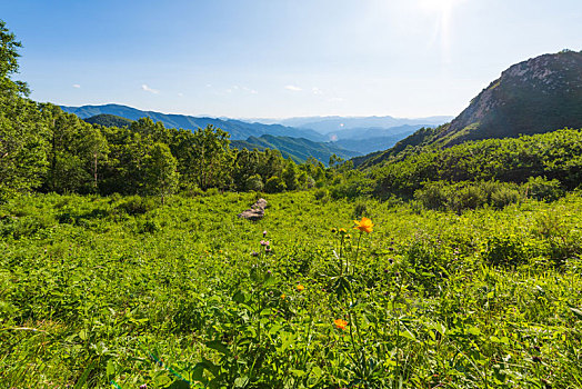 驼梁风景区