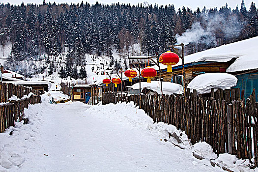 雪乡,双峰林场,村庄,风景,白天,黑龙江,牡丹江