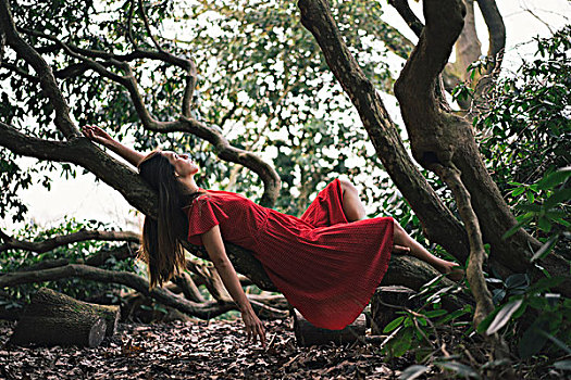 女人,红裙,放松,树上
