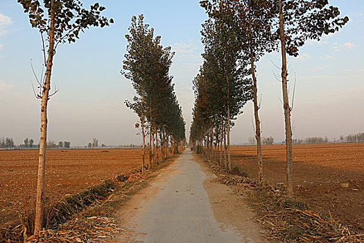 农村土地道路