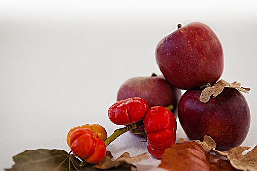 特写,红苹果,樱桃,秋叶,白色背景