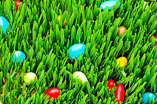 复活节,概念,彩色,蛋,绿色,玻璃