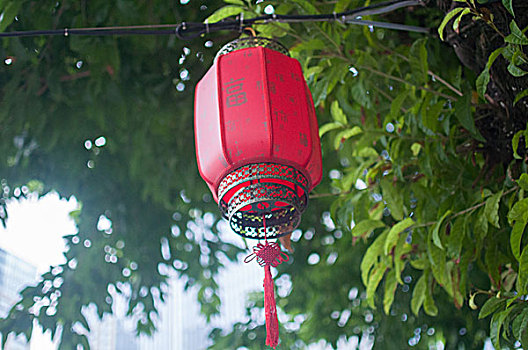 中国风高挂红灯笼