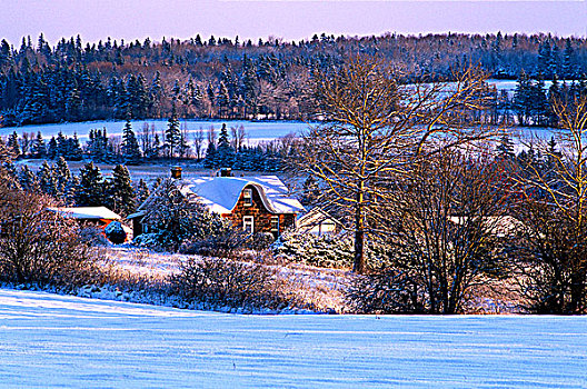 砂岩,房子,冬天,爱德华王子岛,加拿大