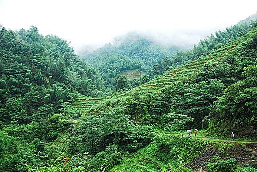 大山里的田园春色