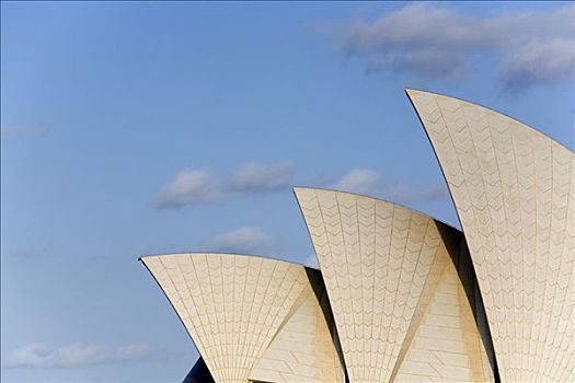 澳大利亚,新南威尔士,悉尼,拱,悉尼歌剧院,灵感,棕榈叶,遮盖,上方,瑞典,砖瓦,剧院,一个,地标建筑