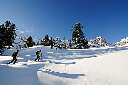 滑雪,旅游,山,格罗塞尔,山谷,南蒂罗尔,意大利,欧洲