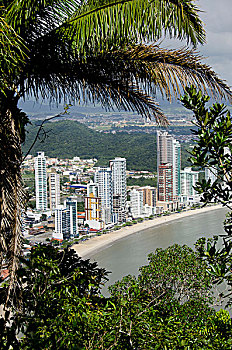巴西,雨林,海滩