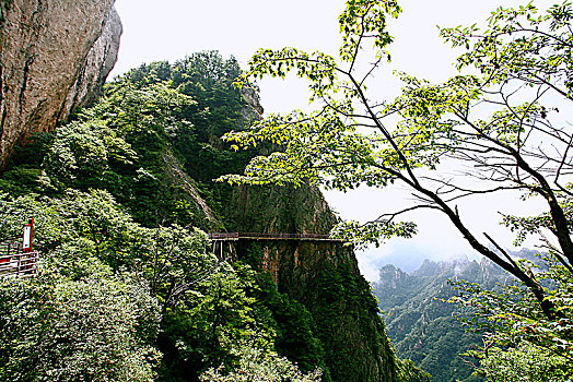 洛阳老君山