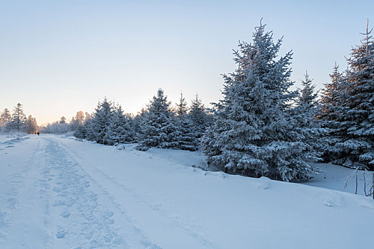 冬季长白山的雪地和雾凇