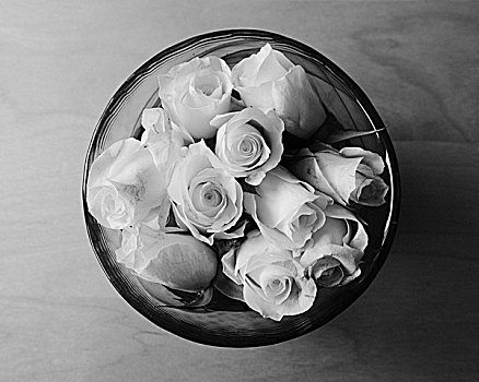 白色,玫瑰,小,碗,水,桌子