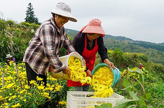 汽车喷油嘴
