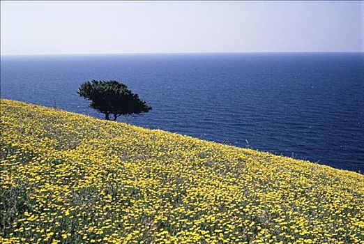 爱琴海,基克拉迪群岛,希腊