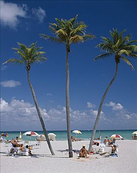 迈阿密海滩,棕榈树,人,海滩,迈阿密,佛罗里达,美国