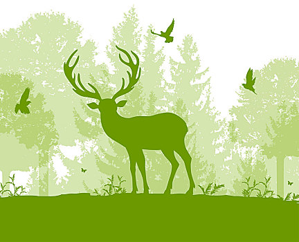 绿色,自然,风景,鹿,树,鸟,矢量,插画