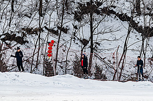 翠华山滑雪场滑雪的人