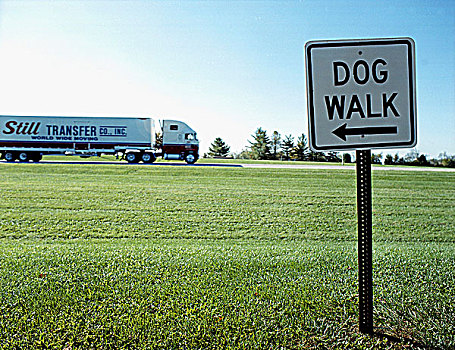 狗,走,路标,高速公路