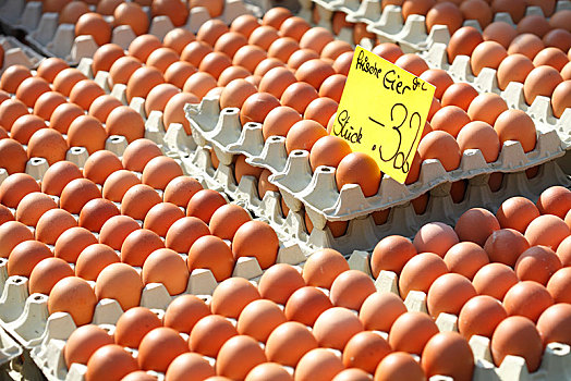 新鲜,褐色,蛋,鸡蛋盒,价签,市场货摊,德国,欧洲