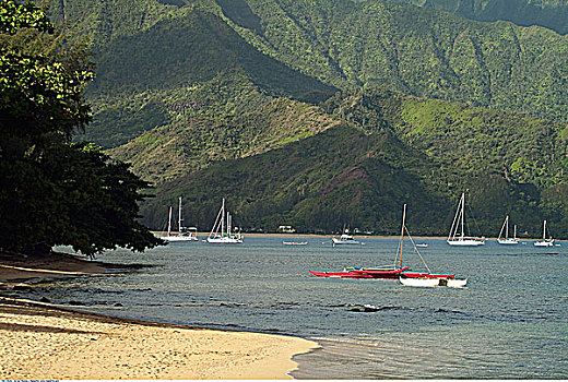 海滩,船,普林斯维尔,考艾岛,夏威夷,美国