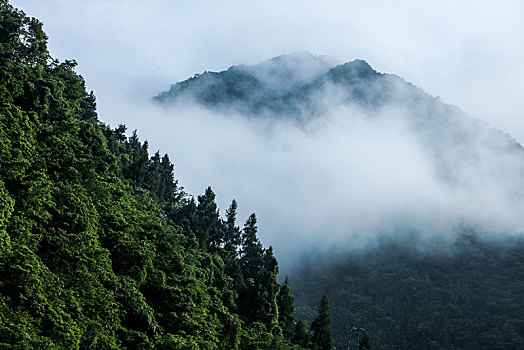 恩施,大山,湖北,山区,云海,云雾,高山,神秘,群山,山峰,鄂西