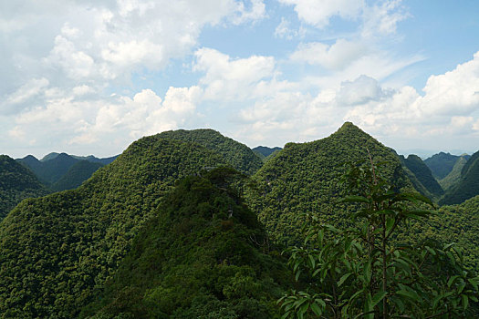 峰林