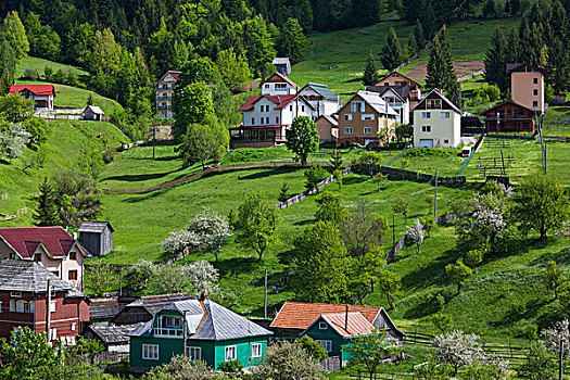 罗马尼亚,马拉穆列什,区域,山,国家公园,滑雪胜地,乡村,风景