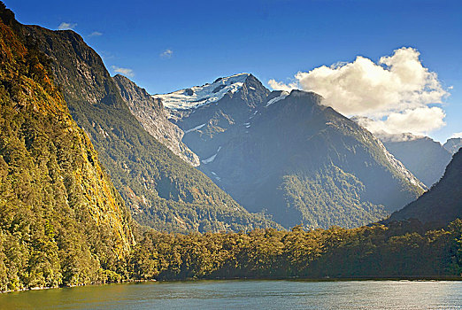 风景,山谷,西部,顶峰,攀升,峡湾国家公园,南部地区,南岛,新西兰