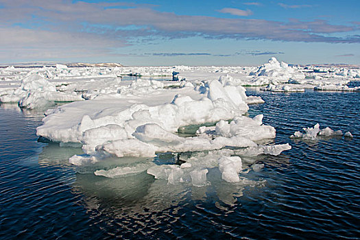挪威,斯瓦尔巴特群岛,浮冰