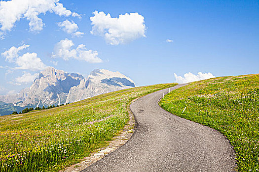 弯路,阿尔卑斯草甸,白云岩,南蒂罗尔,意大利