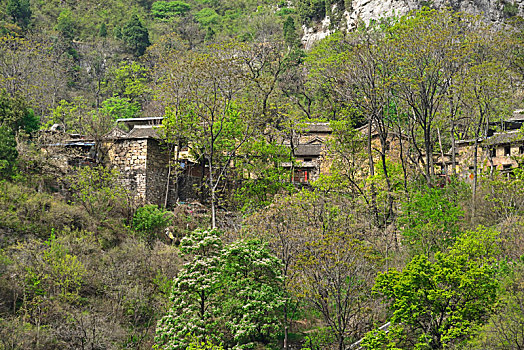 北方三峡,河南焦作市博爱县青天河景区