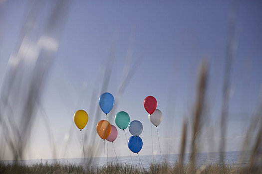 气球,海滩,梅克伦堡州,德国