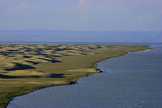 青海省海南藏族自治州青海湖的鸟岛