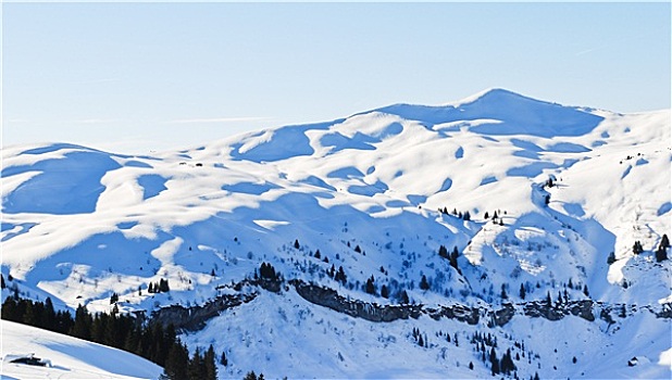 雪冠,山,阿尔卑斯山