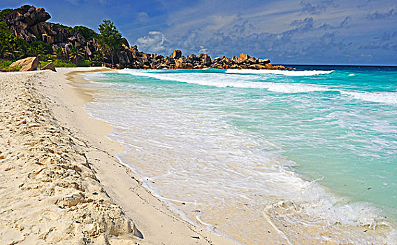 朦胧,海滩,石头,棕榈树,拉迪格岛,塞舌尔,非洲