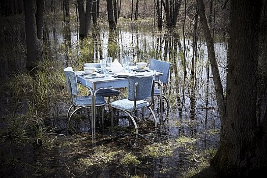旧式,厨房用桌,椅子,餐具摆放,中间,沼泽