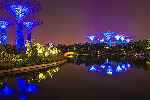 花园,湾,反射,水,夜晚,新加坡,亚洲