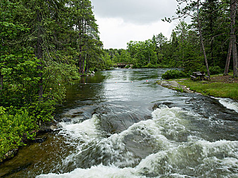 河,流动,树林,急促,省立公园,安大略省,加拿大