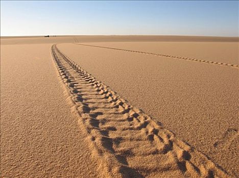 利比亚,轮胎,轨迹,沙子