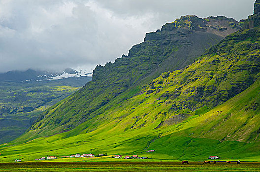 冰岛,靠近,农场,向上,山