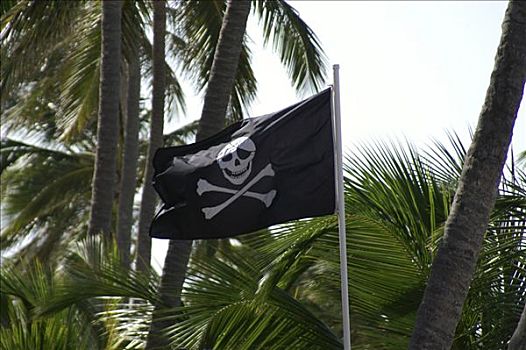 海盗,旗帜,多米尼加共和国,加勒比海,美洲