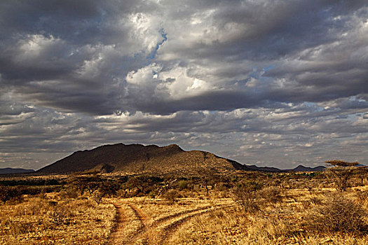 岔路,日落,桑布鲁野生动物保护区,肯尼亚
