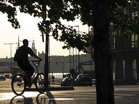 斯堪的纳维亚,瑞典,斯德哥尔摩,剪影,人,骑自行车,街上