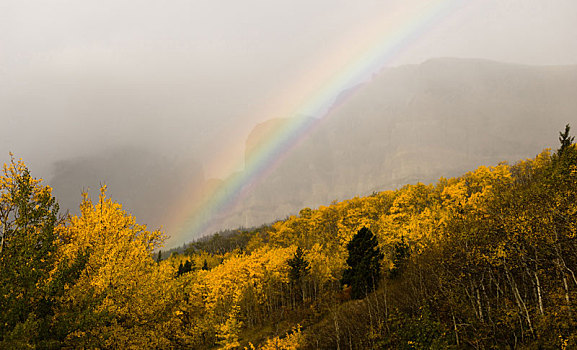 彩虹,秋色,落基山脉,冰川国家公园,蒙大拿