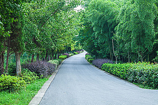 生态道路