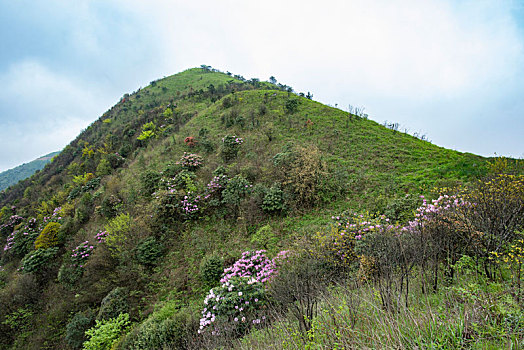 狮子口山峰