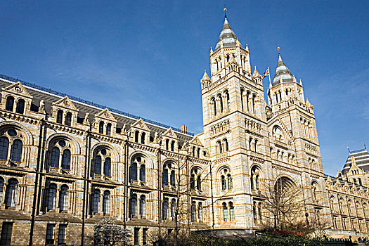 自然历史博物馆,伦敦,英格兰,英国,欧洲
