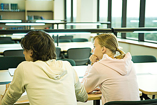 两个,大学生,坐,桌子,图书馆,后视图