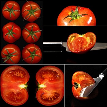 西红柿,抽象拼贴画