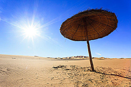 阳伞,棕榈叶,边缘,却比沙丘,摩洛哥